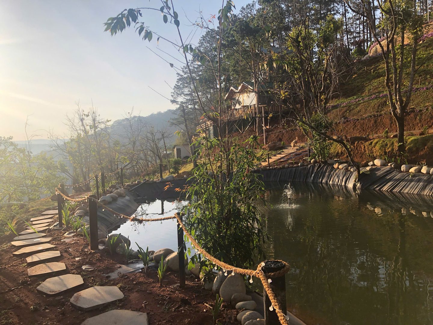 Phòng tập thể (Hồ cá) · ảnh 8
