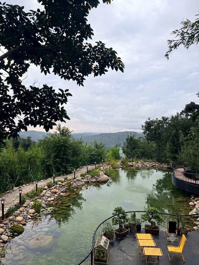 Phòng tập thể (Hồ cá) · ảnh 9