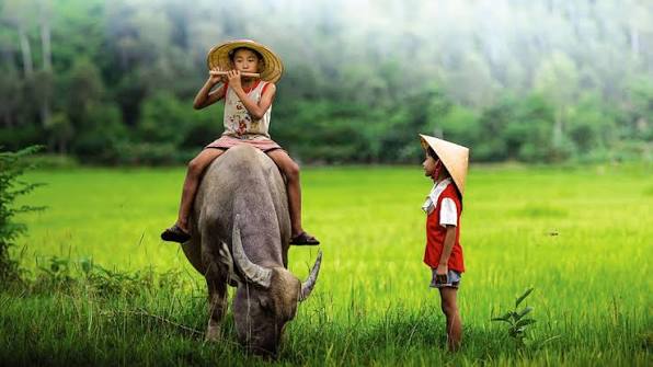 Con trâu là đầu cơ nghiệp